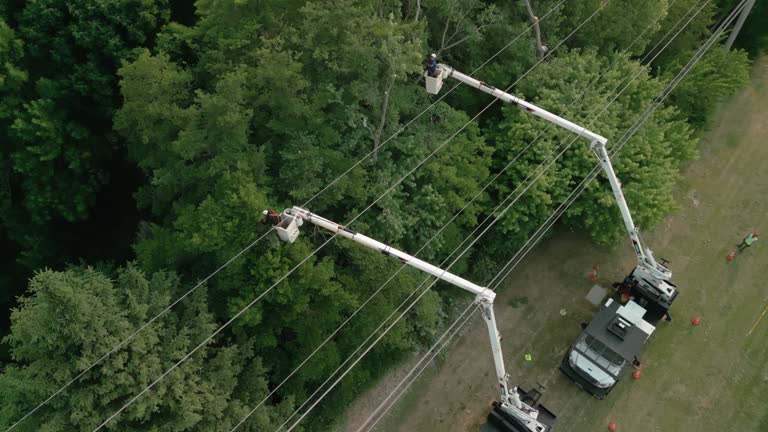 Best Utility Line Clearance  in St Joseph, MO